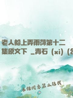 老人船上弄雨荷第十二集原文下載