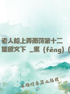 老人船上弄雨荷第十二集原文下載