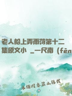 老人船上弄雨荷第十二集原文小說