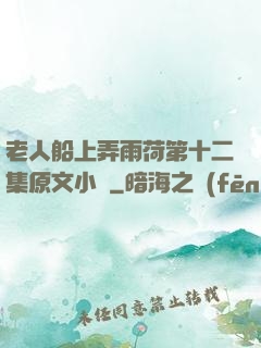 老人船上弄雨荷第十二集原文小說