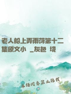 老人船上弄雨荷第十二集原文小說