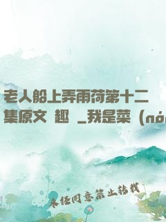 老人船上弄雨荷第十二集原文筆趣閣