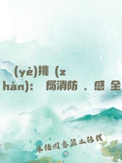 職業(yè)挑戰(zhàn)：開局消防員，感動全網(wǎng)
