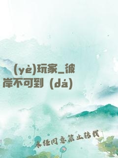 職業(yè)玩家