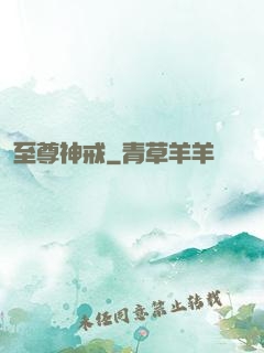 至尊神戒