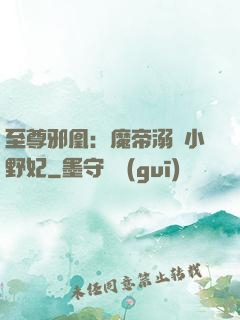至尊邪凰：魔帝溺寵小野妃