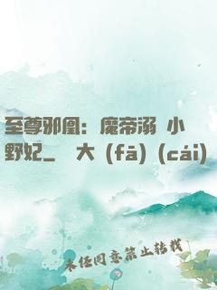 至尊邪凰：魔帝溺寵小野妃