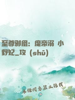 至尊邪凰：魔帝溺寵小野妃