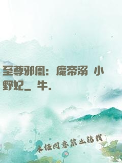 至尊邪凰：魔帝溺寵小野妃