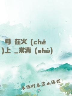 與母親在火車(chē)上鋪