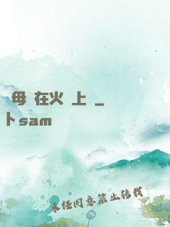 與母親在火車上鋪