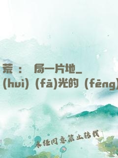 荒島：開局一片地
