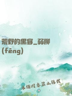荒野的黑客