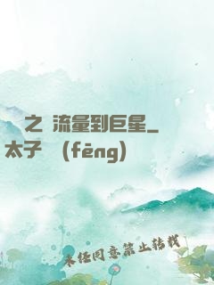 華娛之從流量到巨星