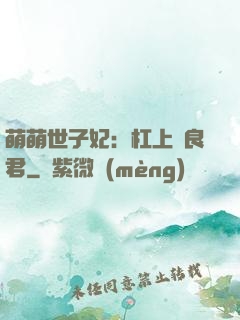 萌萌世子妃：杠上無良君
