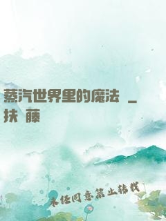 蒸汽世界里的魔法師