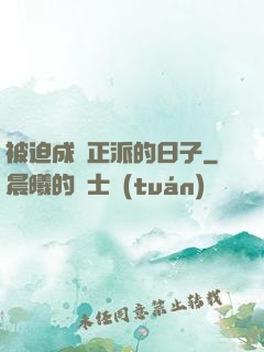 被迫成為正派的日子