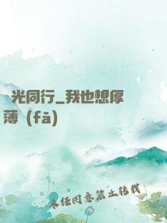 覓光同行