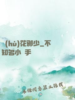 護(hù)花邪少