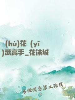 護(hù)花醫(yī)武高手