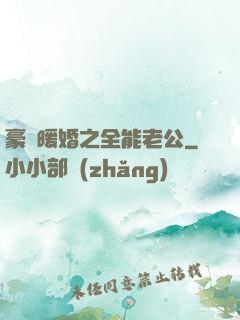 豪門暖婚之全能老公