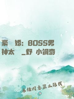 豪門閃婚：BOSS男神太難纏