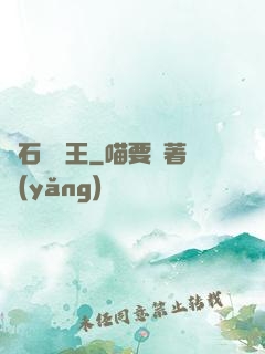 賭石鑒寶王