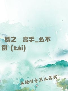 贅婿之無敵高手