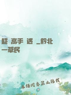 超級高手艷遇記