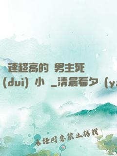 車速超高的雙男主死對(duì)頭小說