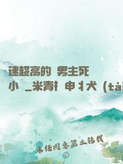 車速超高的雙男主死對頭小說