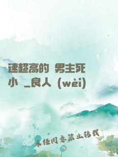 車速超高的雙男主死對頭小說