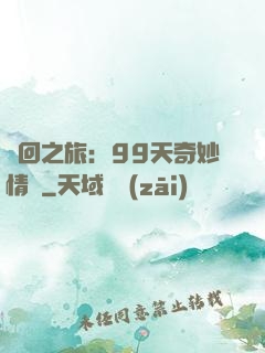 輪回之旅：99天奇妙情緣