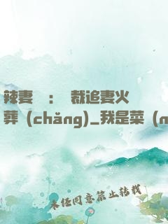 辣妻來襲：總裁追妻火葬場(chǎng)