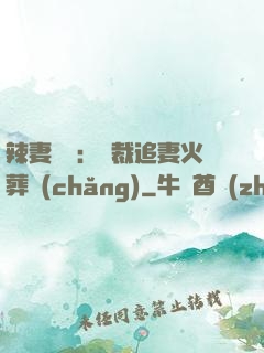 辣妻來襲：總裁追妻火葬場(chǎng)