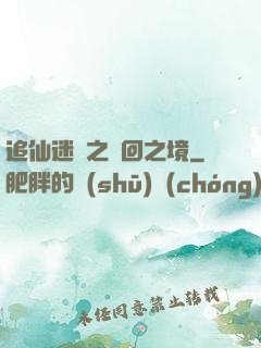 追仙迷錄之輪回之境