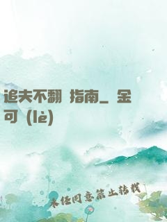 追夫不翻車指南