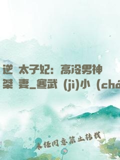 逆襲太子妃：高冷男神桀驁妻