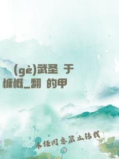 這個(gè)武圣過于慷慨