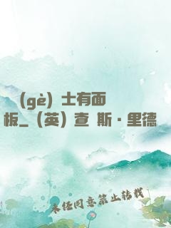 這個(gè)騎士有面板