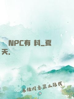 這個NPC有點料