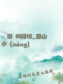 這個游戲叫疆域