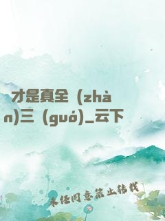 這才是真全戰(zhàn)三國(guó)