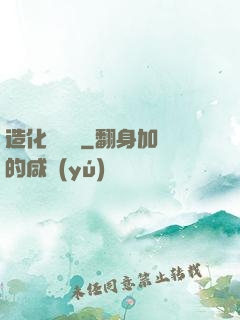 造化煉體決