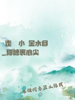 邊走邊愛小說金水目錄