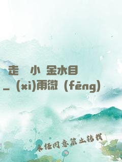 邊走邊愛小說金水目錄