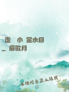 邊走邊愛小說金水目錄