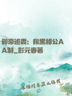 邪帝追妻：腹黑相公AA制