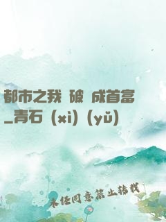 都市之我撿破爛成首富