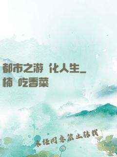 都市之游戲化人生